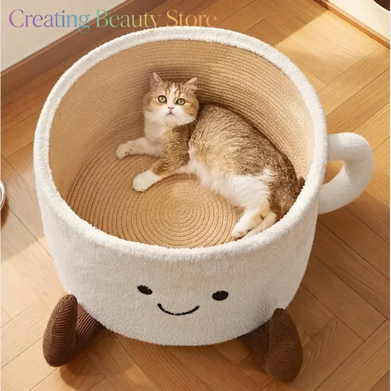 Cat relaxing in a cosy indoor space