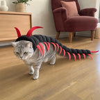 BelleVie Pets Creepy-Crawly Centipede Costume for Cats on silver tabby