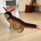 Ginger tabby cat wearing long black-and-red centipede plush costume