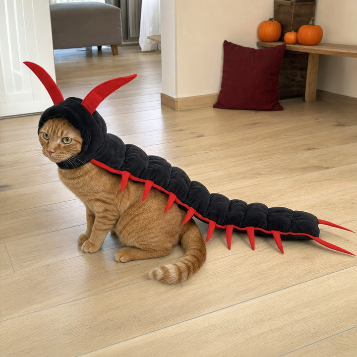 Ginger tabby cat wearing long black-and-red centipede plush costume