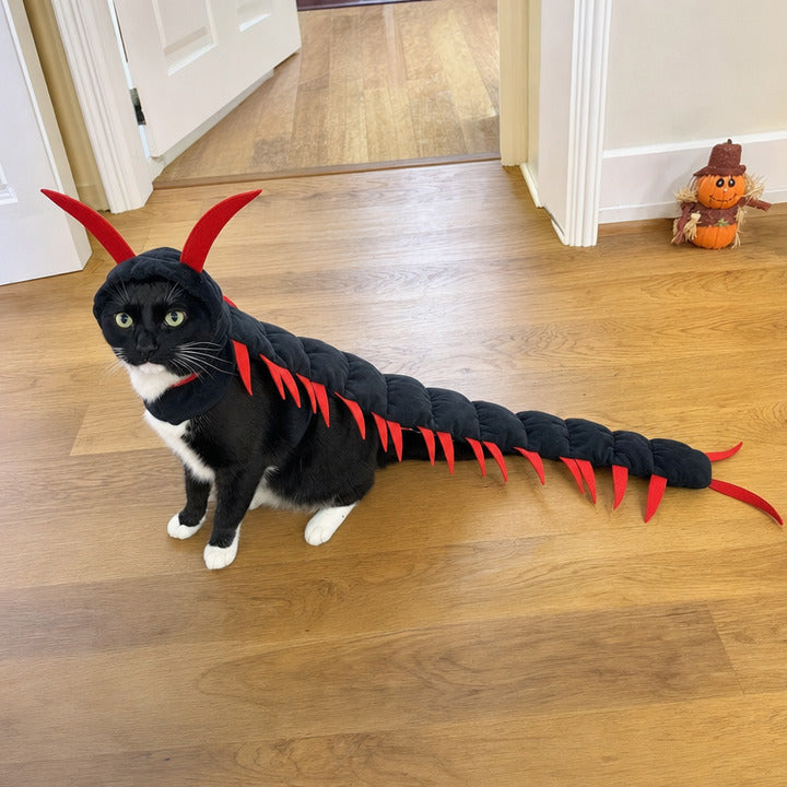 Black and white tuxedo cat with long red-legged plush centipede Halloween costume