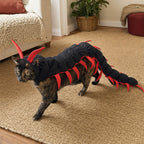 Tortoiseshell cat wearing segmented black and red centipede Halloween outfit