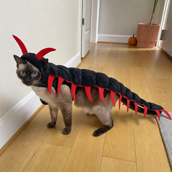 Siamese cat in adjustable plush black and red centipede Halloween costume