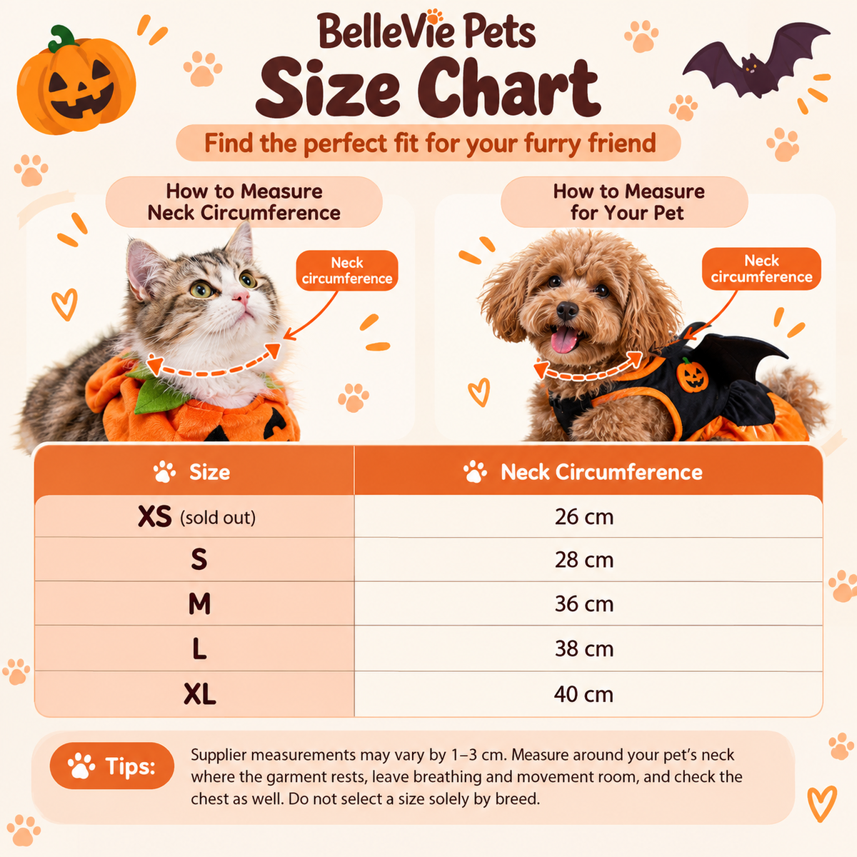 BelleVie Midnight Mischief Halloween Costume for Cats