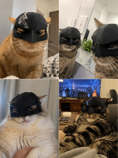 NightPaw™ Cat Hero Mask | Viral Photo Prop for Cats & Small Dogs