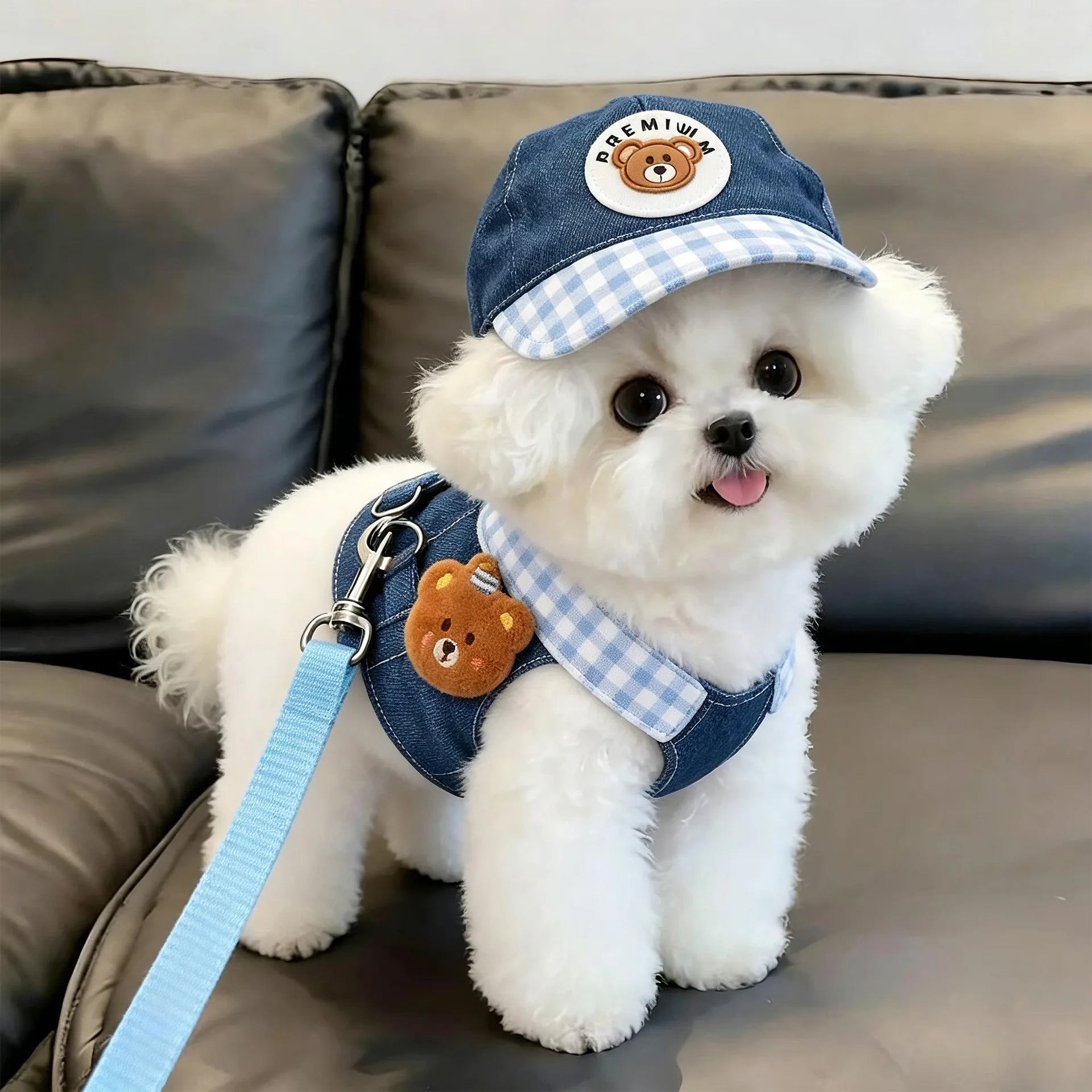 Dog Clothes 2026 New Dog Harness and Leash Set Denim Pet Vest with Sun Hat for Small Dogs Cats Puppy