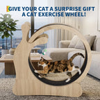 BelleVie RunArc Cat Exercise Wheel | Quiet Wood Indoor Runner