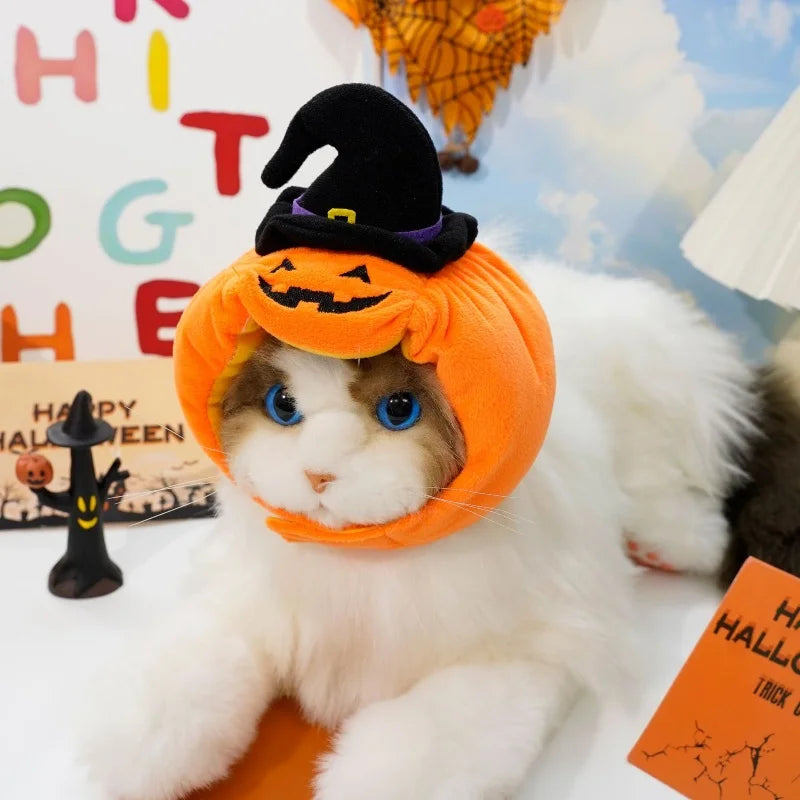 BelleVie Pumpkin Patch Halloween Hat for Cats