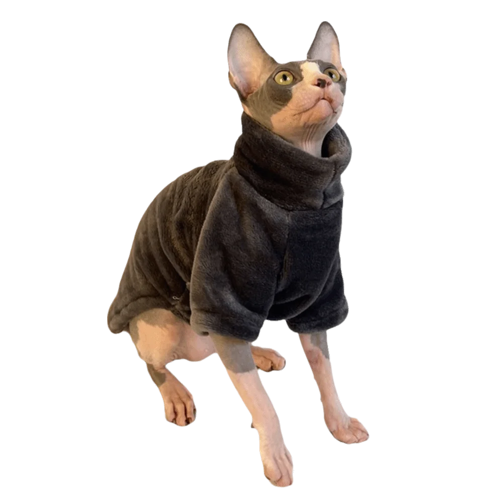 Trendy Fleece Warm Winter Puppy Clothes Fluffy Soft Cat Sweatshirt Solid Color Turtleneck Pet Supplies Chihuahua Outfits