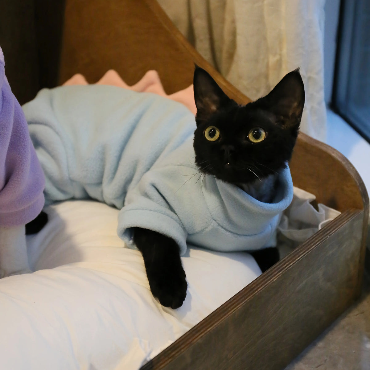 High Neck Polar Fleece Full Wrap Cat Onesie Hot Selling Autumn Warm Pet Outfit Bedroom Rest Night Sleep Hairless Cats Thin Skin