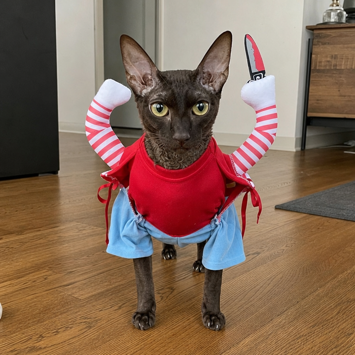 BelleVie Midnight Mischief Halloween Costume for Cats