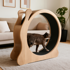 BelleVie RunArc cat exercise wheel in a realistic premium living room with a cat walking inside
