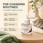 When to use CalmNest cat pheromone refill during changing home routines