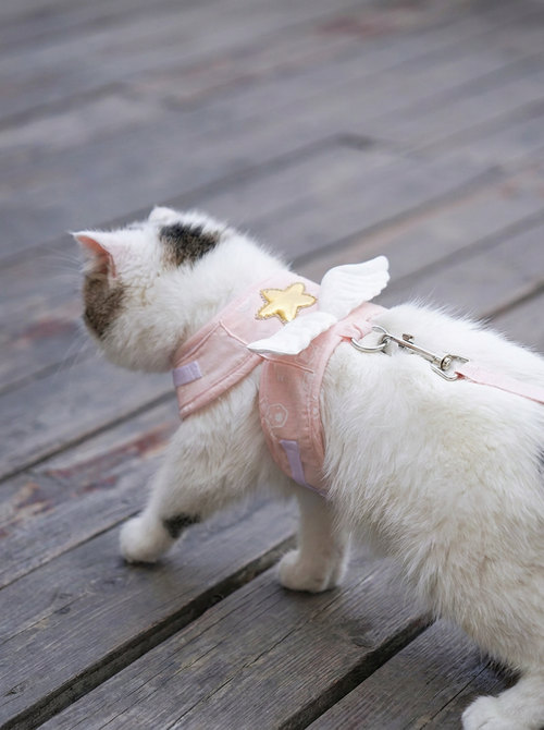 Halo™ Angel Wing Cat & Small Dog Harness with Matching Lead