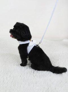 Halo™ Angel Wing Cat & Small Dog Harness with Matching Lead