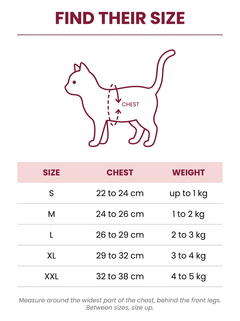 Halo™ Angel Wing Cat & Small Dog Harness with Matching Lead