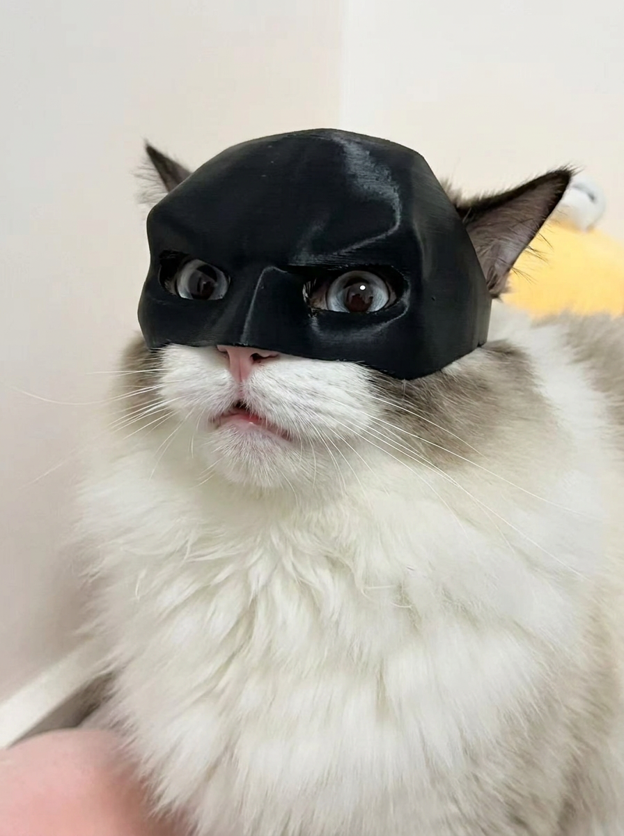 NightPaw™ Cat Hero Mask | Viral Photo Prop for Cats & Small Dogs