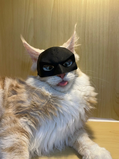 NightPaw™ Cat Hero Mask | Viral Photo Prop for Cats & Small Dogs